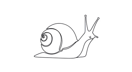 Continuous line drawing of a snail on a white background. © Kosong
