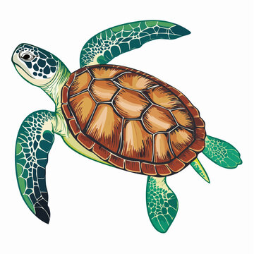 A sea turtle swims through ocean waters with flippers extended and shell visible.
