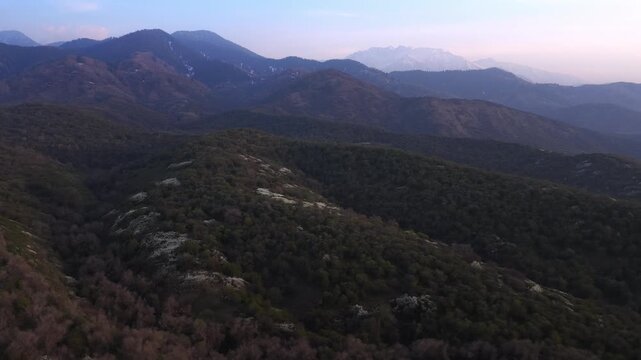 The beginning of spring blooming in the mountains. Talgar gorge. Ile-Alatau National Nature Park. The view from the drone.