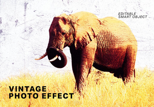 Vintage Photo Effect