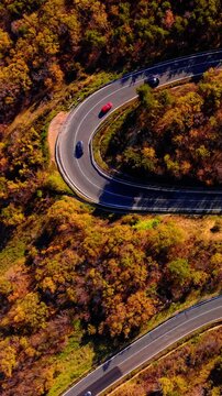 Aerial shot of cars navigating a steep road bend in autumn woodland. Overhead view of cars driving through sharp forest curve. Vertical video.
