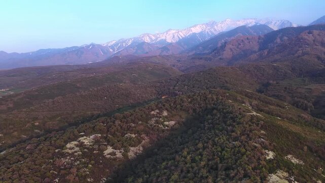 The beginning of spring blooming in the mountains. Talgar gorge. Ile-Alatau National Nature Park. The view from the drone.