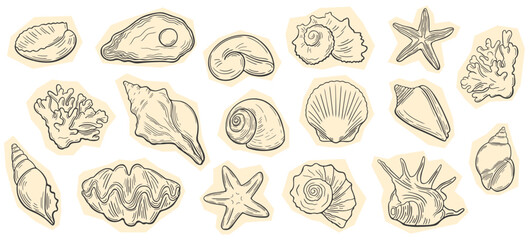 Obraz premium Vintage engraving seashell, starfish, coral sketch set. Ocean marine sticker pack. Hand drawn line art sea life cut out elements. 