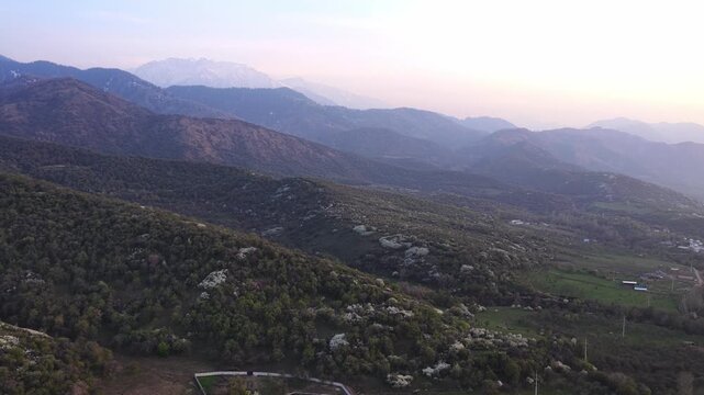 The beginning of spring blooming in the mountains. Talgar gorge. Ile-Alatau National Nature Park. The view from the drone.