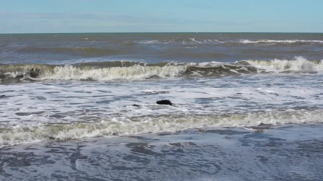 Wild Adriatic Sea Foam Waves Covering Empty Winter Beach with Coastal Grass Growing in Saltwater