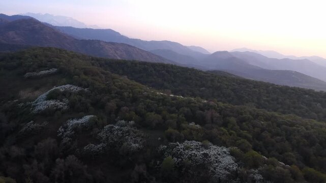 The beginning of spring blooming in the mountains. Talgar gorge. Ile-Alatau National Nature Park. The view from the drone.