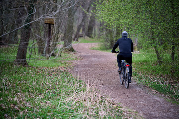 Fototapeta premium Man riding a bicycle on a winding dirt path through a spring forest, Rudy, Cistercian Abbey Landscape Park, Rudy, Silesia, Poland, Europe.