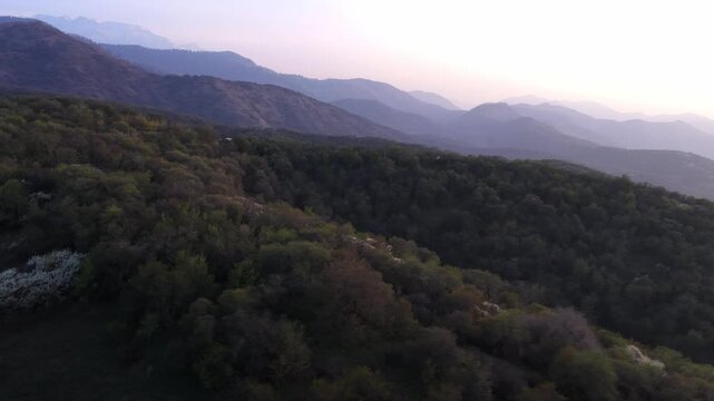 The beginning of spring blooming in the mountains. Talgar gorge. Ile-Alatau National Nature Park. The view from the drone.
