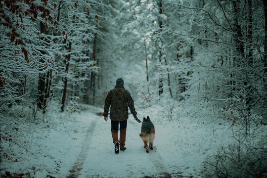 Man walking with a dog in a forest during winter