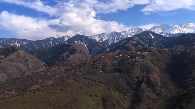 The beginning of spring blooming in the mountains. Talgar gorge. Ile-Alatau National Nature Park. The view from the drone.