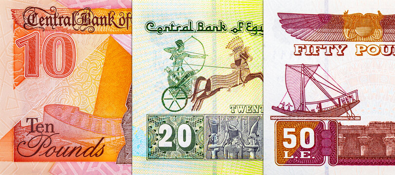 Egyptian Pound banknotes. Macro shot of various denominations of Egyptian currency. African money.