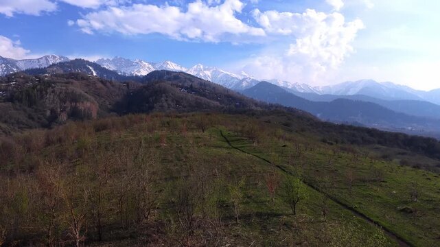 The beginning of spring blooming in the mountains. Talgar gorge. Ile-Alatau National Nature Park. The view from the drone.