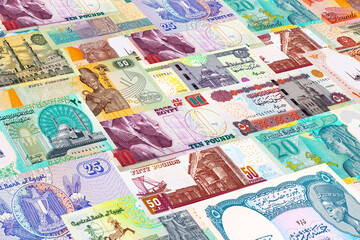 Fototapeta premium Egyptian Pound banknotes. Macro shot of various denominations of Egyptian currency. African money.