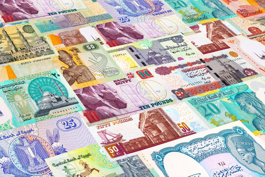 Egyptian Pound banknotes. Macro shot of various denominations of Egyptian currency. African money.