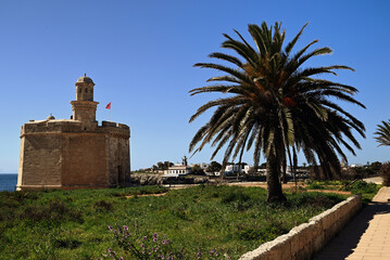 Naklejka premium Rivage de l'île de Minorque avec le Castell de Sant Nicolau, le phare de Ciutadella et un palmier au premier plan