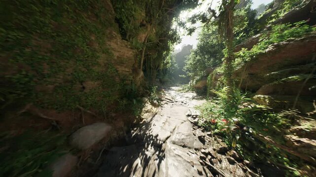 Bright canyon corridor with dramatic light, composed for drone scouting and aerial perspective studies, sweeping vegetation against rugged rock walls, strong
