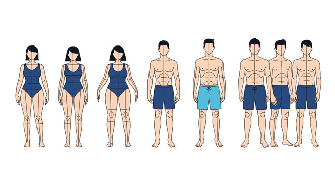 Comparison of various male and female body types and heights illustrated with figures in simple blue swimwear and shorts for anatomy study.