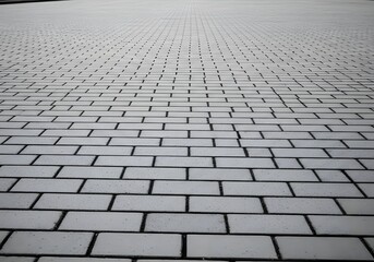 Fototapeta premium Brick pavement texture background