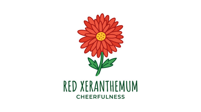 Vibrant Red Xeranthemum Flower with Green Stem on White