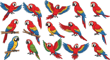 Obraz premium Colorful parrot collection with macaw birds in flying and sitting poses in flat vector style, tropical wildlife illustrations isolated on white background for nature design