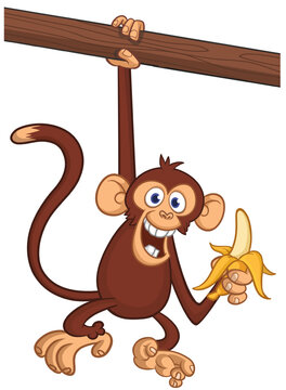 Cartoon funny monkey chimpanzee holding banana in his hands. Vector illustration of happy monkey character design isolated.