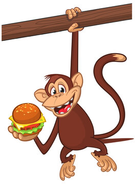 Cartoon funny monkey chimpanzee holding hamburger or cheeseburger in his hands. Vector illustration of happy monkey character design isolated.