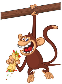 Cartoon funny monkey chimpanzee holding falafel or kebab in his hands. Vector illustration of happy monkey character design isolated.