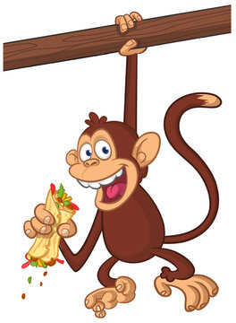 Cartoon funny monkey chimpanzee holding falafel or kebab in his hands. Vector illustration of happy monkey character design isolated.