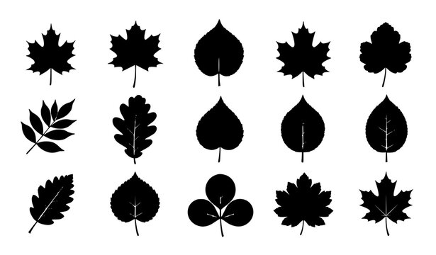 Black silhouette autumn leaves vector set with various leaf shapes for minimalist botanical design