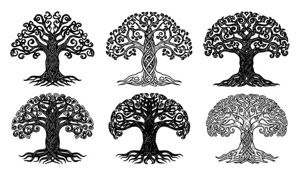 Hand-drawn Celtic tree vector illustration set with intricate knot patterns isolated on white