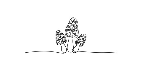 Black line drawing of three morel mushrooms on a white background mushroom fungus illustration simple © Line Art