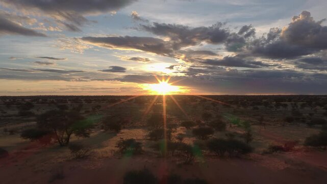 African sunset over wild Kalahari Desert in Namibia with golden sun setting on horizon, showcasing vast savanna landscape from aerial perspective