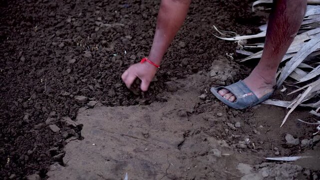 A farmer mixes Ghan Jeevamrut into soil, a natural bio-fertilizer from cow dung, urine, and jaggery. It boosts soil health, microbial activity, and crop growth, promoting sustainable farming.