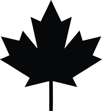 maple leaf silhouette