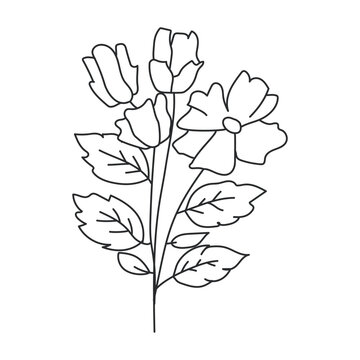 Flower Minimalist Line Art Drawing of Delicate Blooms and Leaves