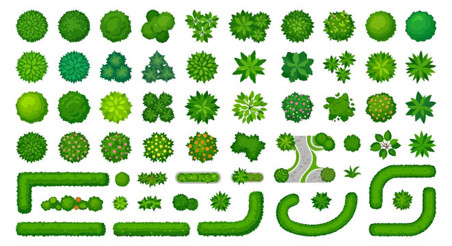 Collection of various green trees and shrubs viewed from above