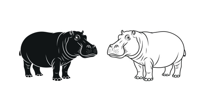 Hippopotamus Types: Black vs White Hippo Guide Vector