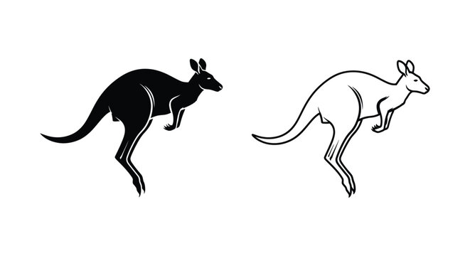 Kangaroo Vector Designs & Illustrations Vector