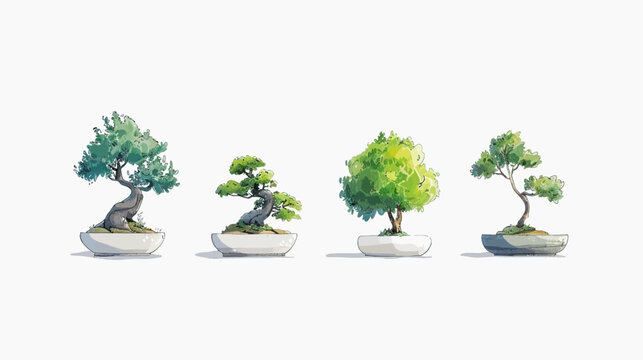 Four small bonsai trees in white pots on a clean white background, painted style