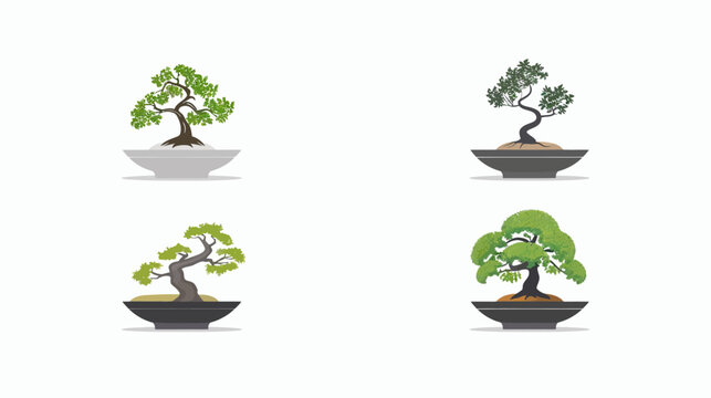 Four bonsai trees in different shapes and leaf colors in simple gray pots, set against white