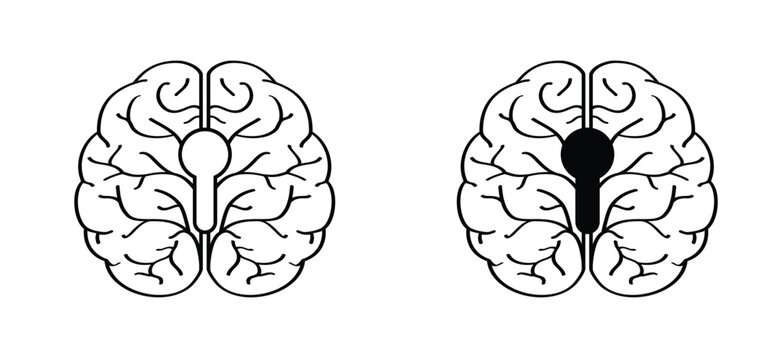 Anatomical human brain with key or keyhole. Stress, human brain silhouette icon. Human brain anatomy. Head view. World brain tumor day concept. simple line drawing or line pattern. Brains silhouette.