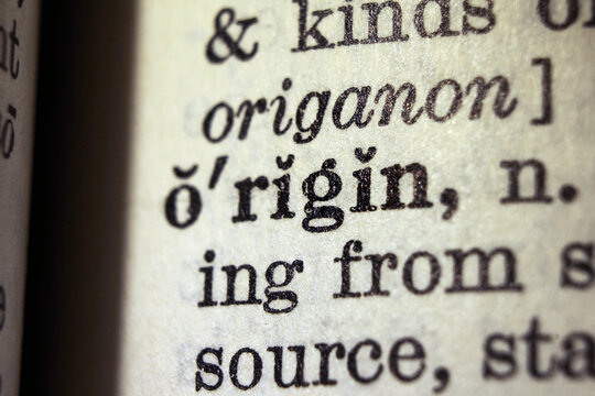 Word origin printed on dictionary page, macro close up
