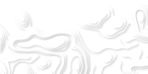 Fototapeta premium Abstract wavy line paper cut white background. vector natural shadow papercut web topography map spiral line. Topographic geometric map relief texture with curved layers. Origami relief map. 