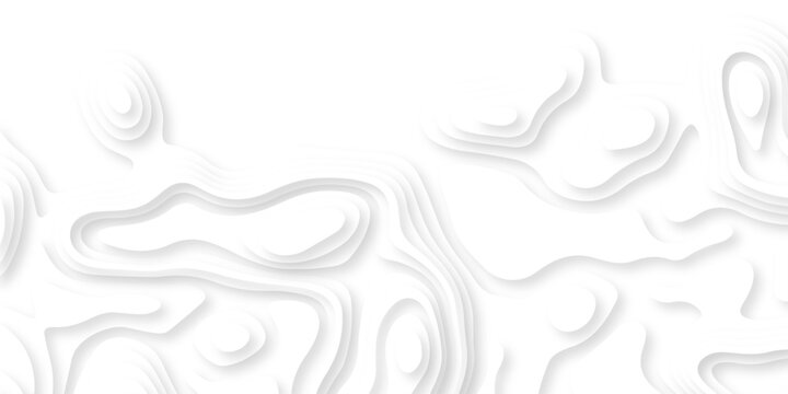 Abstract wavy line paper cut white background. vector natural shadow papercut web topography map spiral line. Topographic geometric map relief texture with curved layers. Origami relief map. 
