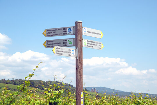 Wanderrouten zwischen den Weinterrassen in R&uuml;desheim am Rhein