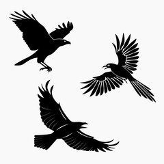 Obraz premium A set of three black bird silhouettes flying in different directions on a white background