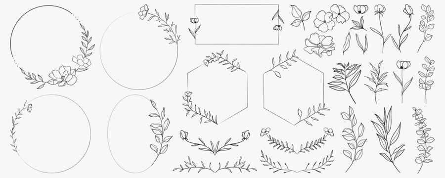 Delicate line art frames and botanical elements for elegant designs.