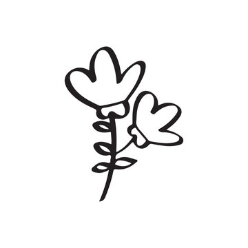 Hand Drawn Twin Flowers Botanical Doodle