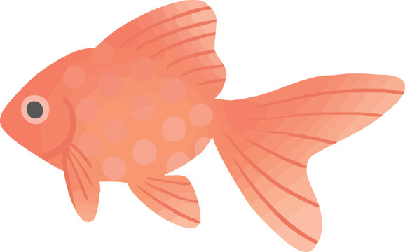 Ryukin Goldfish Vector Flat Illustration | 琉金の金魚イラスト 和風観賞魚素材