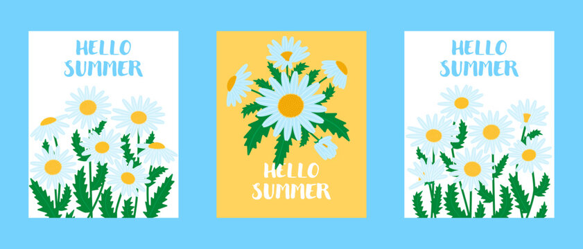 "Hello Summer" greeting card set featuring chamomile flowers. Bright vector floral arrangements with daisies and decorative lettering, ideal for seasonal posters, prints, and summer stationery designs